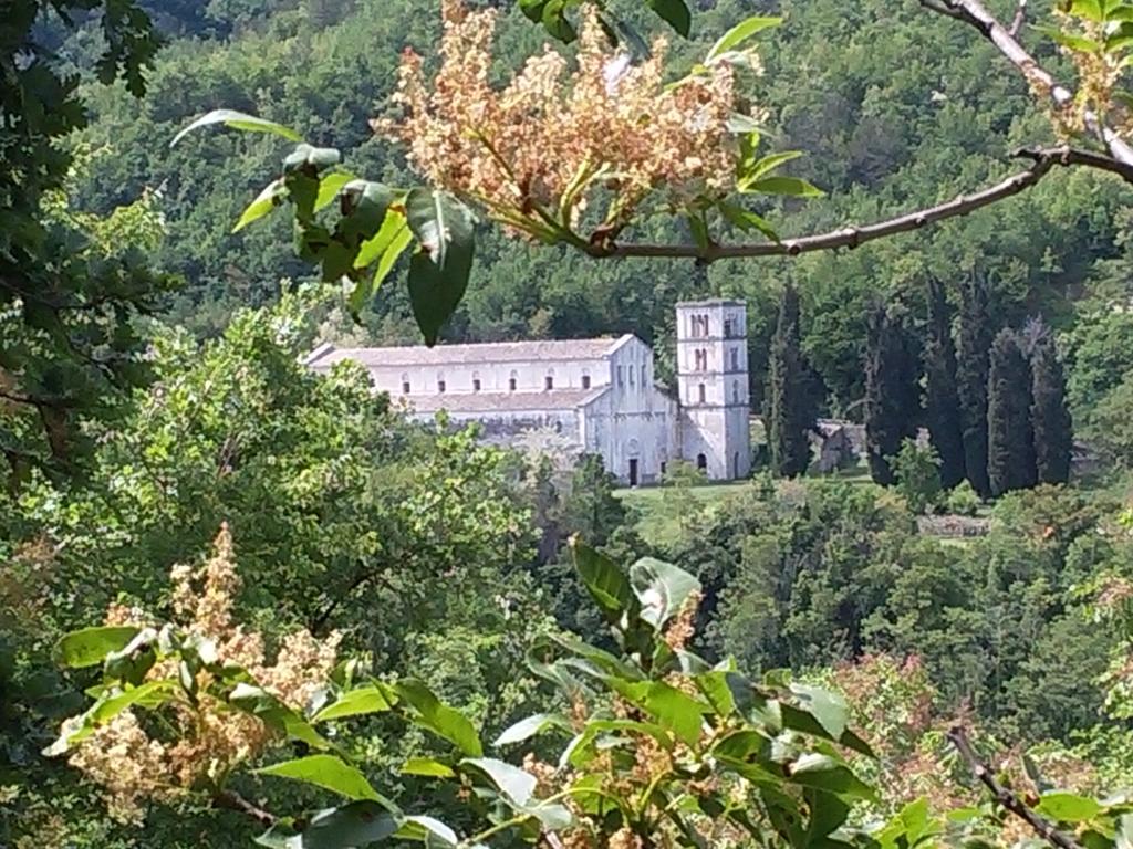 Le Pietre Ricce B&B Roccamontepiano Εξωτερικό φωτογραφία